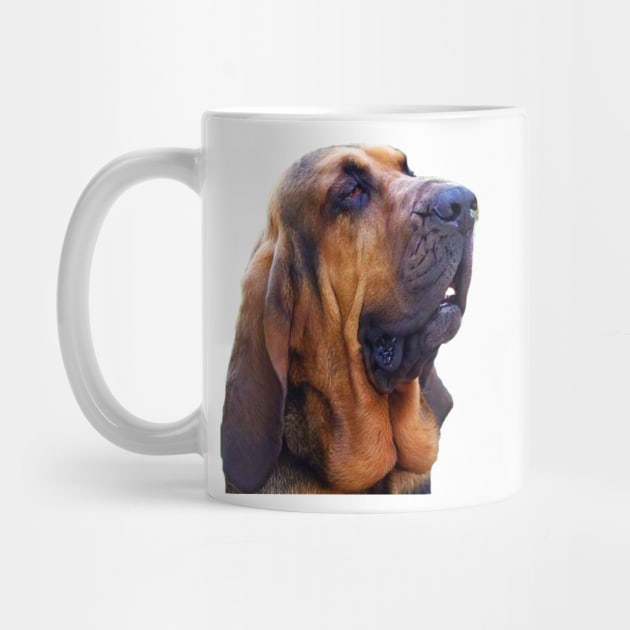 Hunting dog - Bloodhound by Hujer